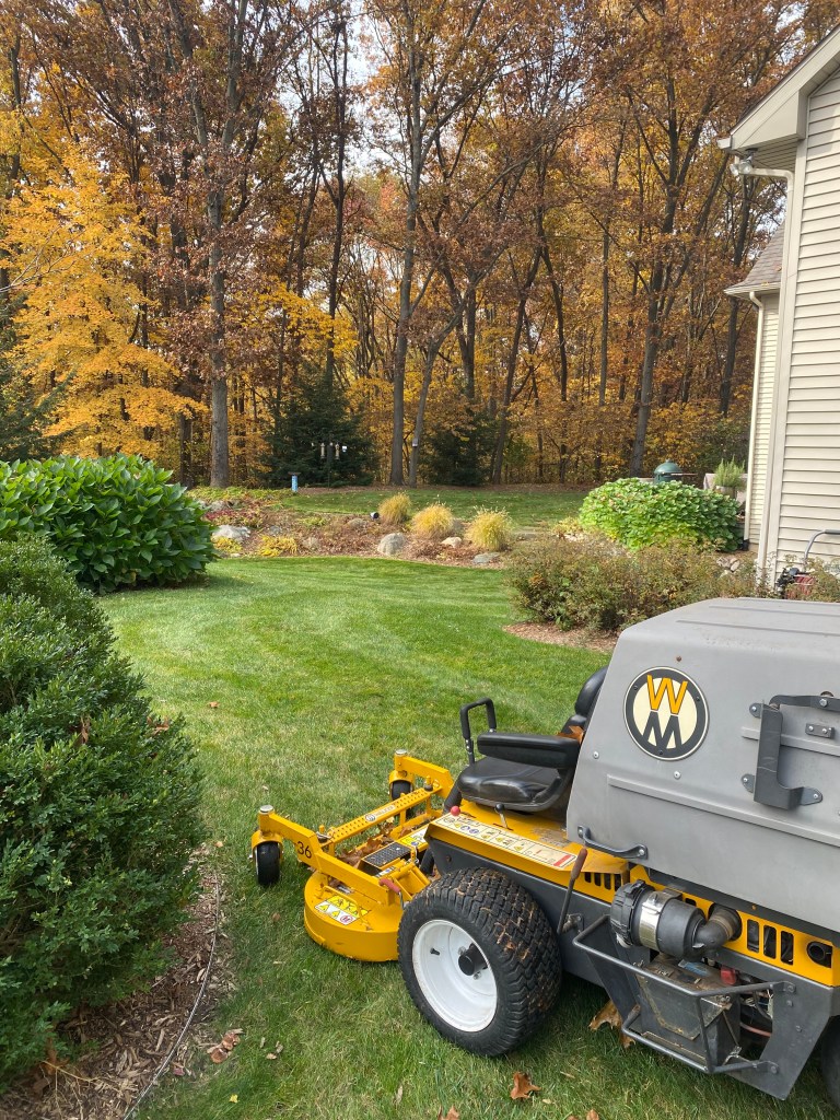 This image has an empty alt attribute; its file name is img_7923.jpeg